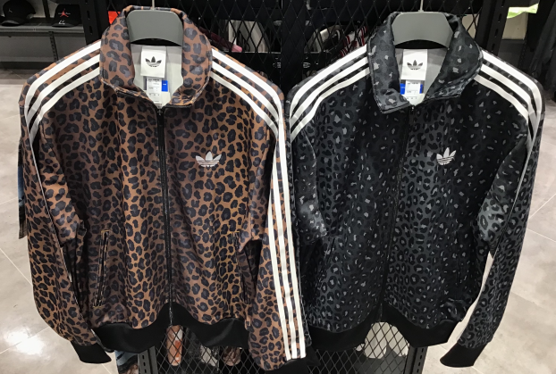 大人気🐆今年も帰って来ました‼️