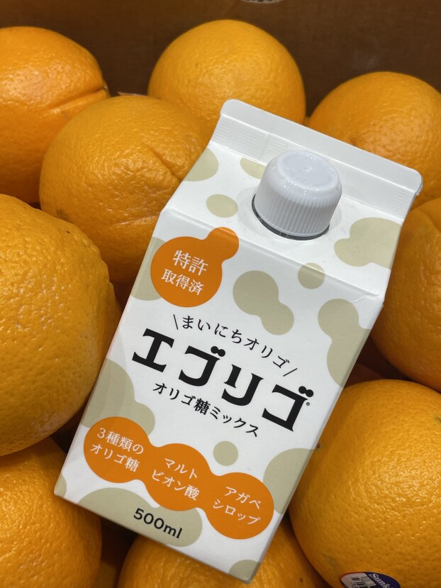 おうちで手作りジュース