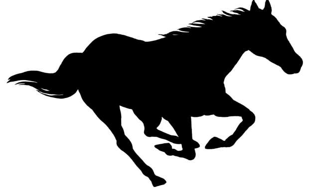 🎍明けましておめでとうございます