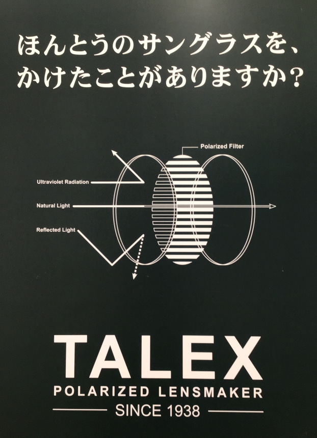 TALEX  本当のサングラス ここにあります！