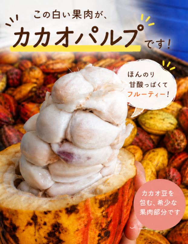 無添加ジェラート　新フレーバー