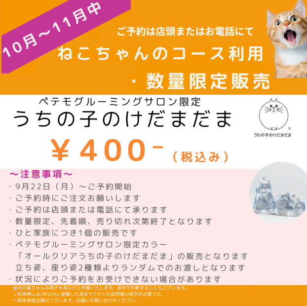 ねこちゃんのためのグルーミングのご案内