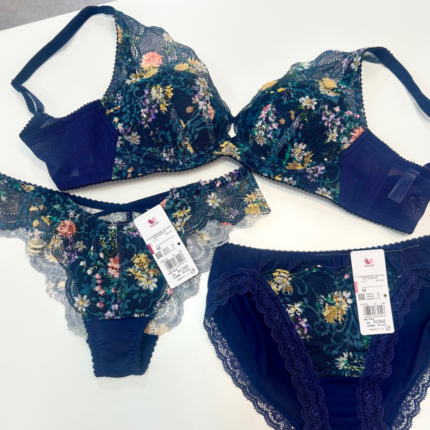 ★新色★ノンワイヤー【重力ケアブラ】