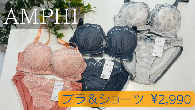 ￥2,990★ブラ&ショーツセット