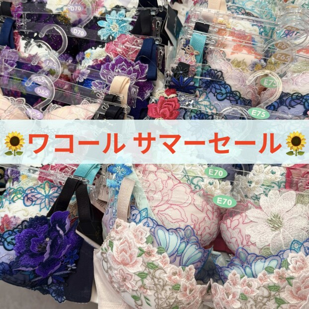 【ワコール】サマーセール！