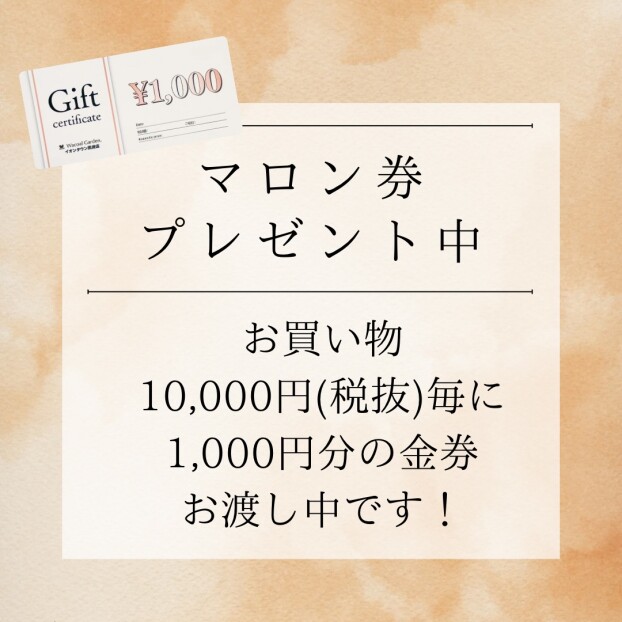 マロン券プレゼント