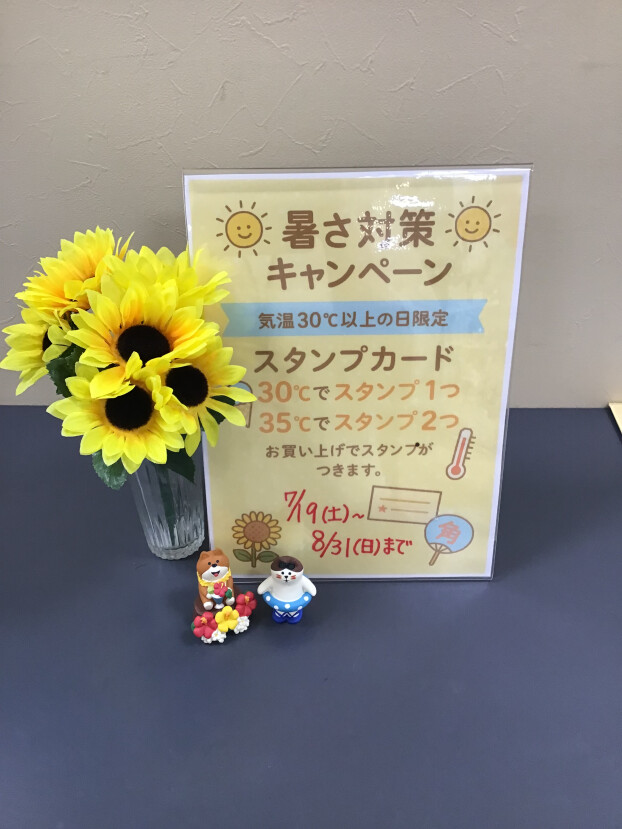 暑さ対策キャンペーン☀️