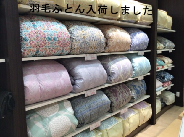 羽毛ふとん入荷しました