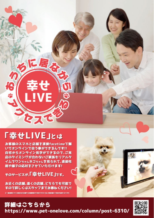 【幸せLIVE】お客様と新しい家族の架け橋　ワンラブの幸せLIVEのご紹介