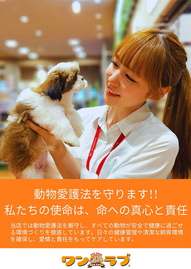 【動物愛護法厳守】私たちの使命は、命への真心と責任