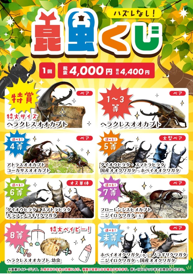 昆虫くじ開催中！！
