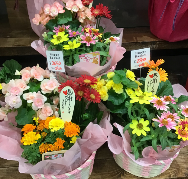 9月15日は敬老の日