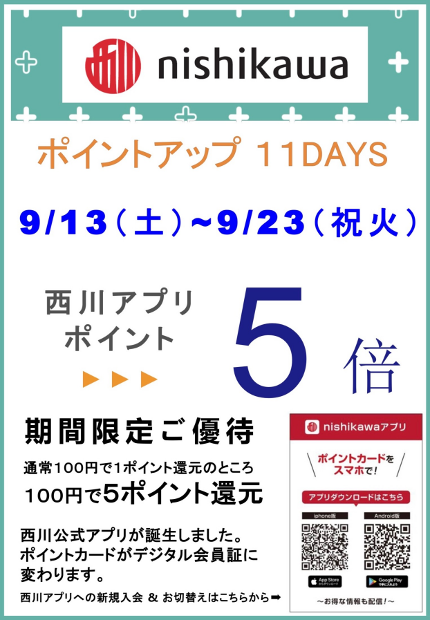 nishikawaポイントアップ11DAYS