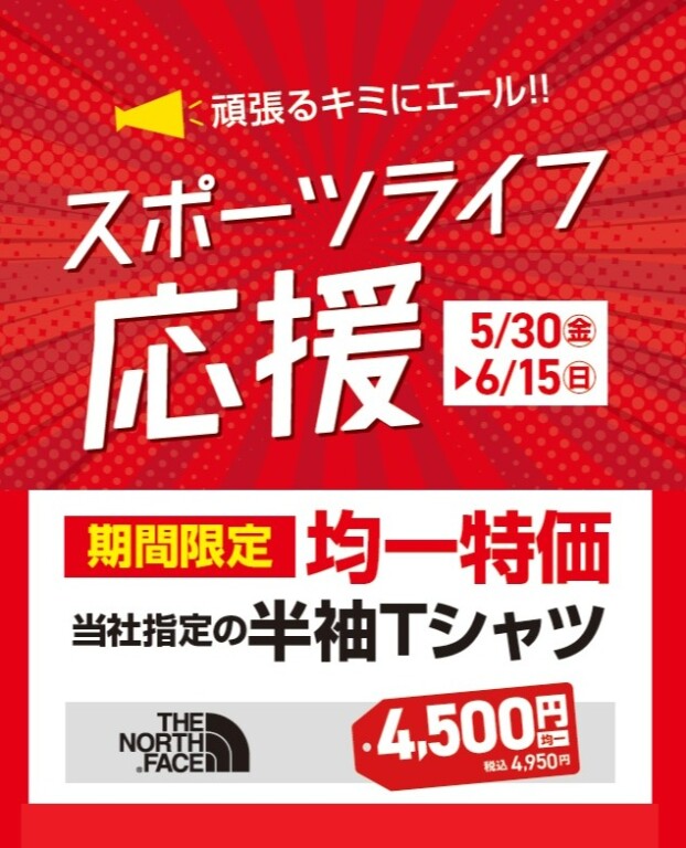 THE NORTH FACE 半袖Tシャツ 期間限定 均一特価　