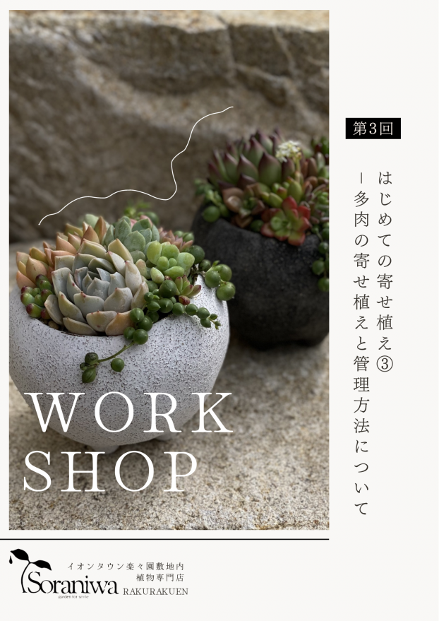 第3回 寄せ植えワークショップ《多肉の寄せ植え》