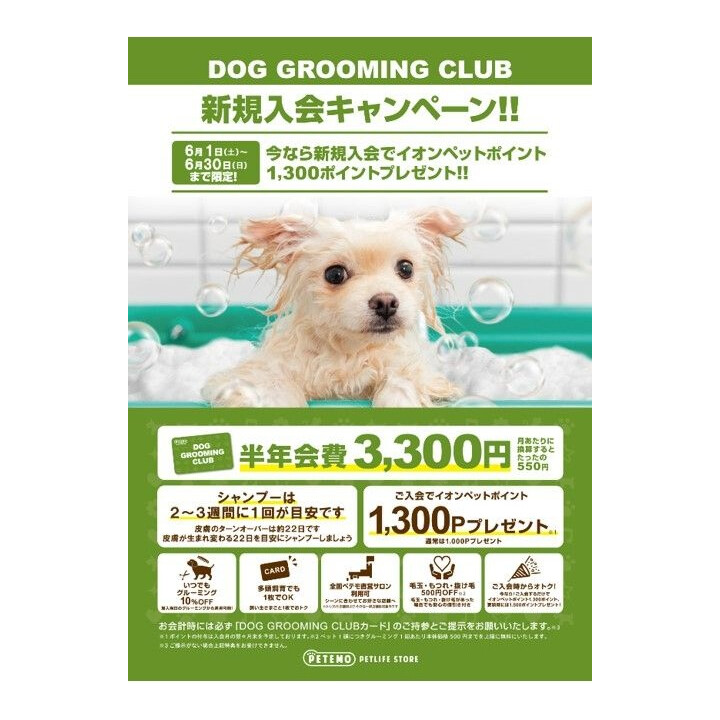 ドッググルーミングクラブ新規入会キャンペーン♪