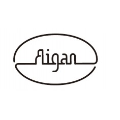 Aigan