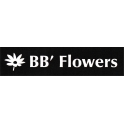 BB' Flowers