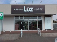 hair doctor Luz